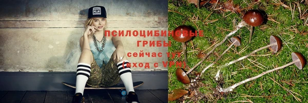 а пвп мука Абдулино