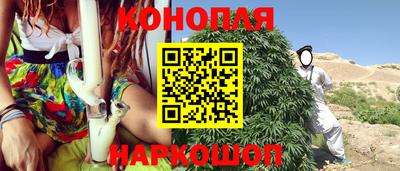 сатива Балаково