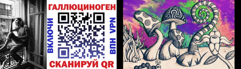 Галлюциногенные грибы Psilocybine cubensis Киров