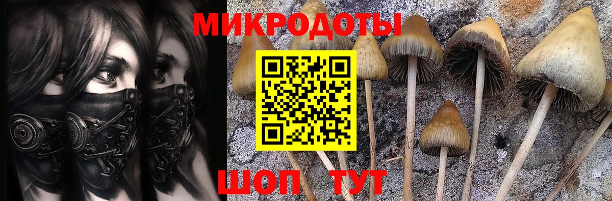 Галлюциногенные грибы мицелий  Вход с VPN  продажа наркотиков  Киров 