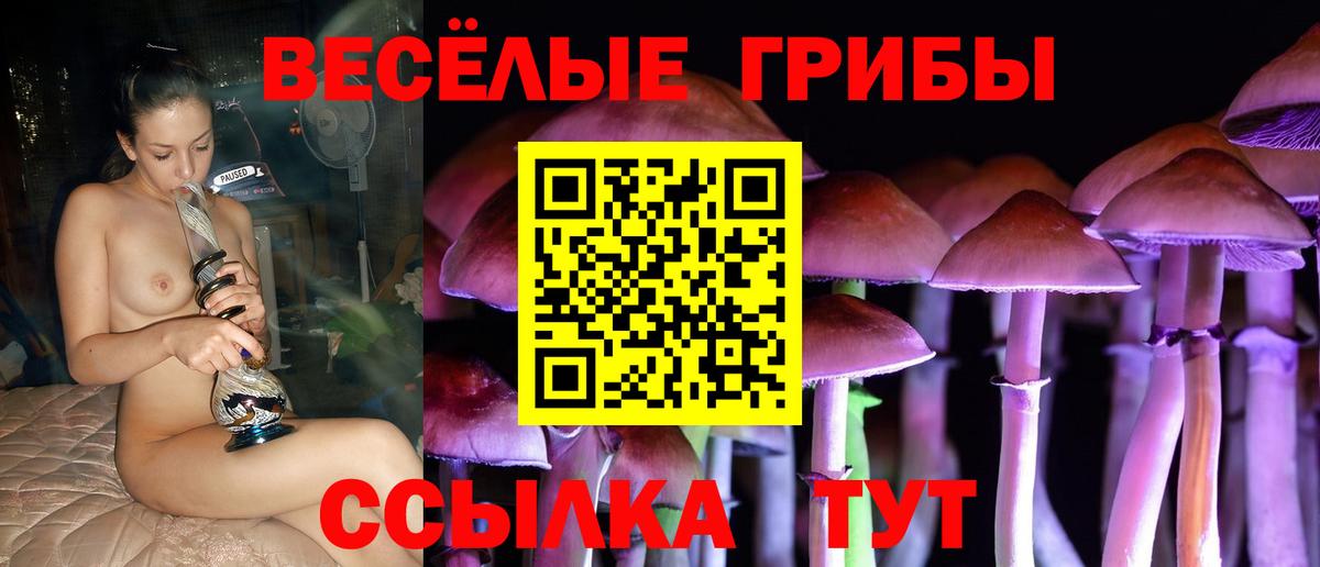 Псилоцибиновые грибы Psilocybine cubensis  Галлюциногенные грибы Magic Shrooms  Киров 